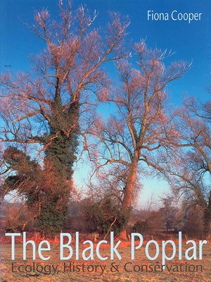 cover image of The Black Poplar